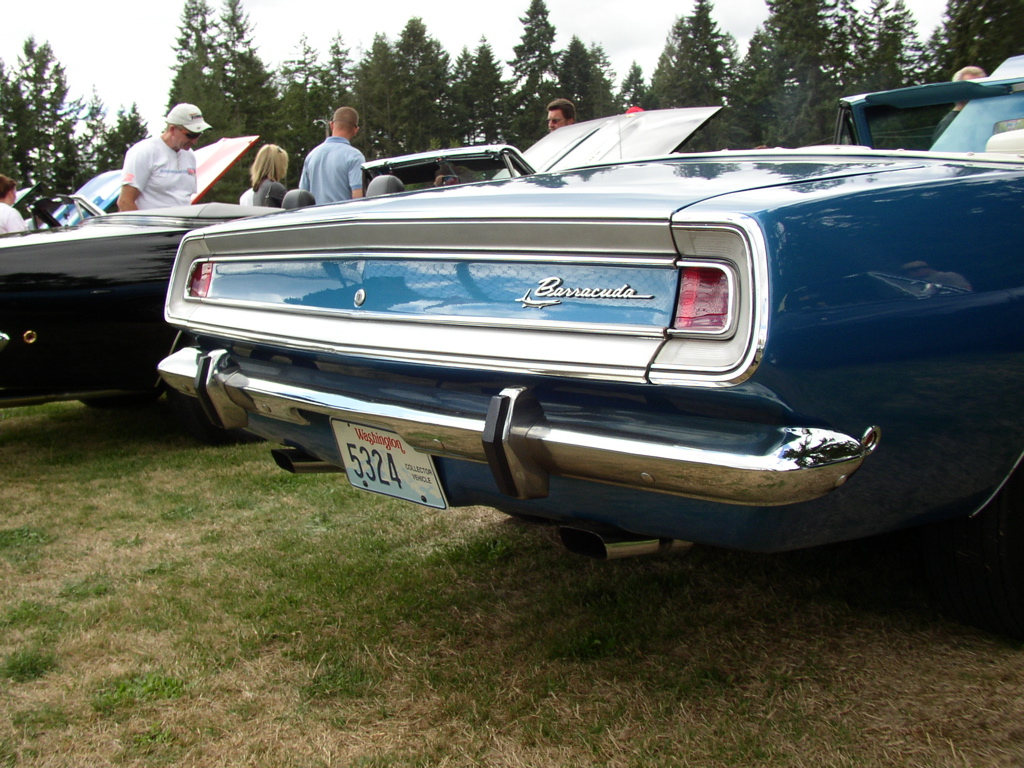 P1010160.JPG